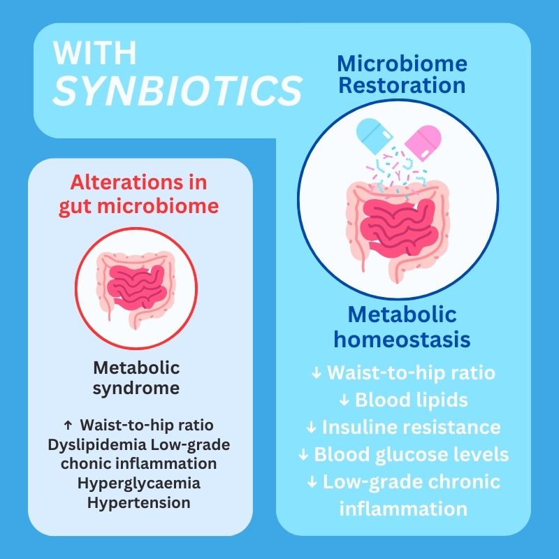Synbiotic Ultra